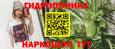 стафф Ярославль