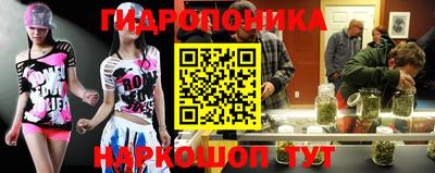 стафф Ярославль