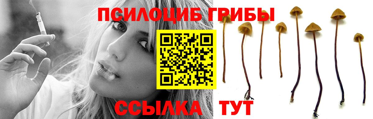 Галлюциногенные грибы GOLDEN TEACHER Гуково