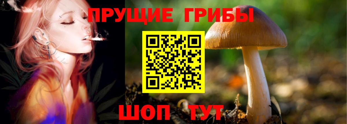 Гуково  Галлюциногенные грибы GOLDEN TEACHER  Вход с VPN  Галлюциногенные грибы мухоморы 